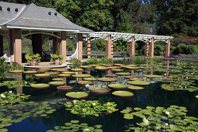 Alabama Gardens: Huntsville Botanical Gardens